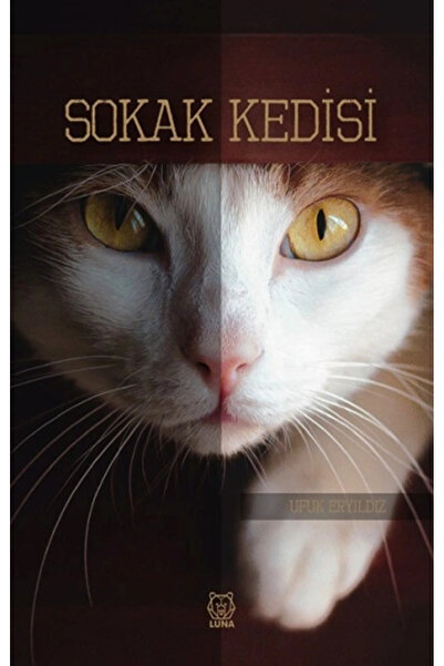 Generic Brand Sokak Kedisi