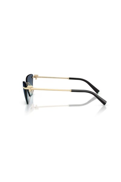 Tiffany&Co &Co. 0Tf3120 60219S 61 Women's Sunglasses