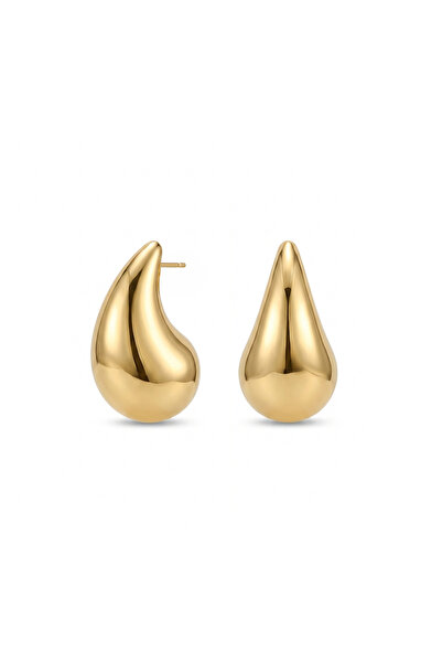 Charmist Steel Bote Earrings Gold
