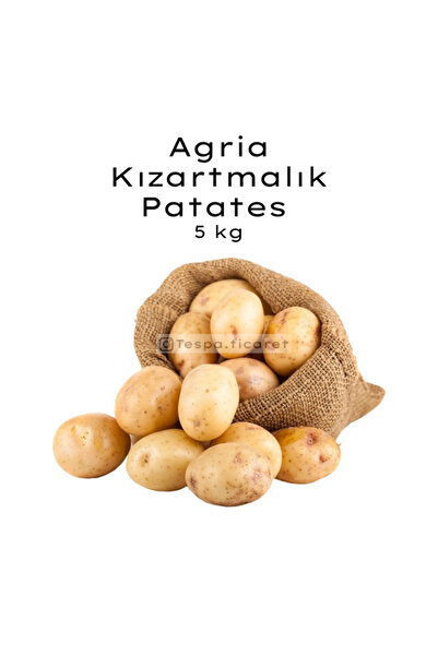 Agria Kızartmalık Patates 5 Kg | Doğal Yerli Agria Patates | Restoran Kalitesi, Sarı, Çıtır Kızartmalık