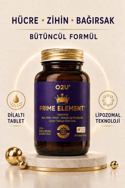 Enerji, Odak ve Bağırsak Desteği | Yorgunluk & Zihin Sisi İçin Lipozomal 30 Dilaltı | Prime Element