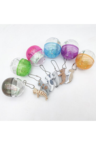 Choice7 One Size all 6 types Qualia capsule toy Tsumada Neko 3 mascot flocky ...