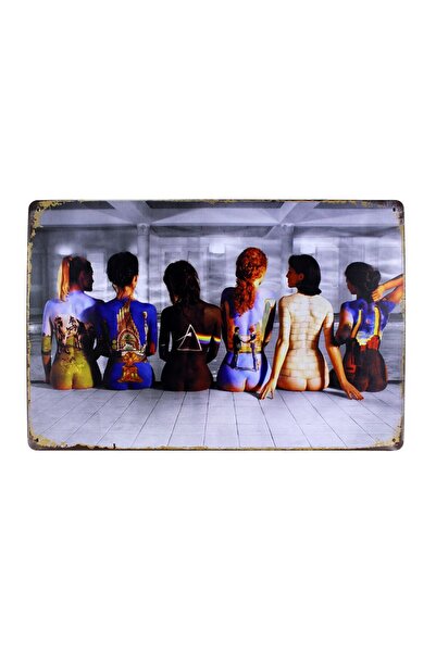 Vintage Dekoratif Metal Pano Lady Color 20x30
