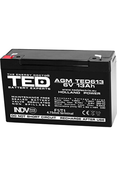 TED Electric Acumulator Stationar AGM VRLA Etans 6V 13A F1 T1, Dimensiuni 151...