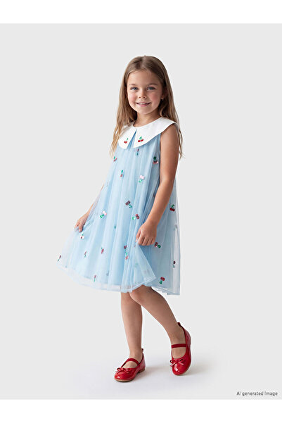 LC Waikiki Baby Collar Embroidered Girl's Princess Dress