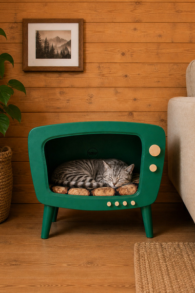 Özel Tasarım Retro Televizyon Tasarımlı Kedi Evi Mint Green - Dekoratif İç Mekan Kedi Yuvası