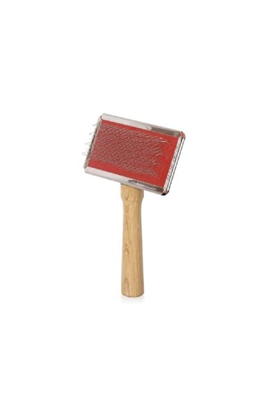 OEM Pensulă medie cu mâner din lemn, 12X9CM