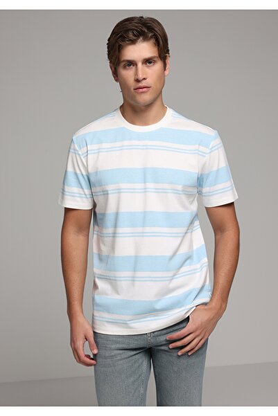 Colin's Regular Fit Round Neck Striped Men's Blue Short Sleeve T-Shirt