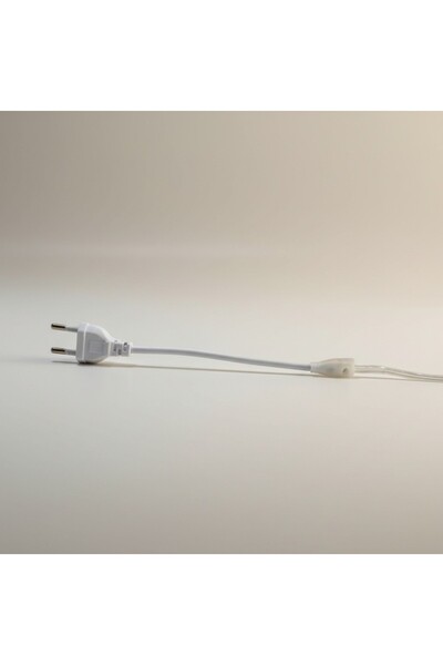 DELIGHT Conector Alimentare pentru bandÄƒ LED FCOB 230V 230V