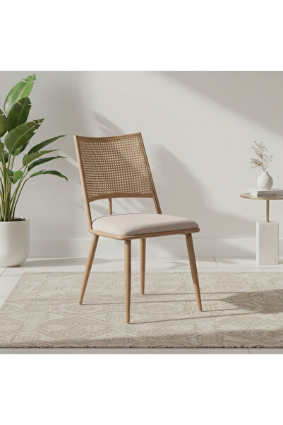 Ebticar Scandinavian Style Rattan Dining Chair