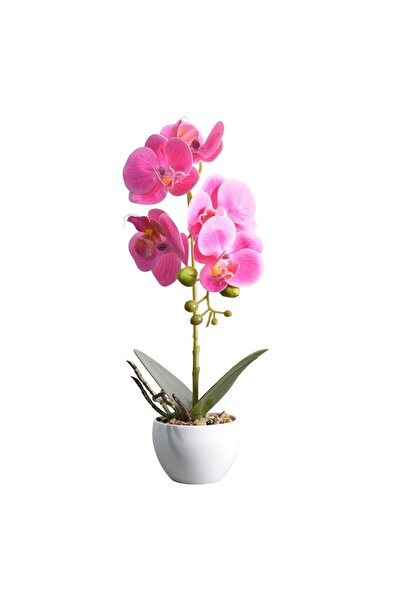 Naimeed Company Orhidee decorativă în ghiveci ceramic, 33 cm, Naimeed D4851, ...