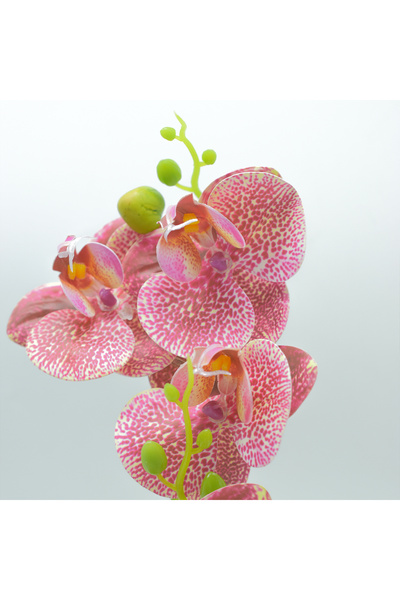 Naimeed Company Orhidee decorativă în ghiveci ceramic, 30 cm, Naimeed D4856, Roz închis
