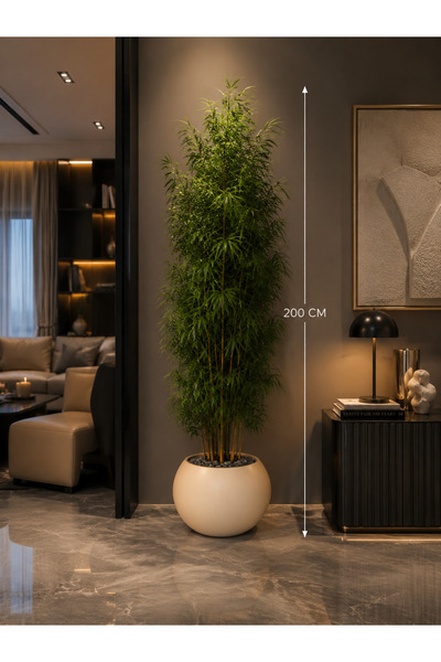 Rafef Bamboo Tree with Multiple Branches, 200 cm Long, with a Solid Core.