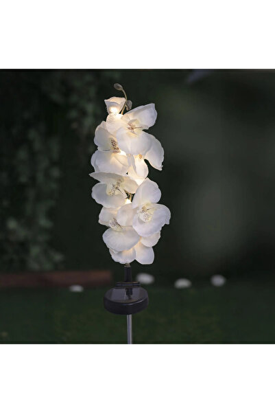 Zumzeria SOLAR FLOWER ORCHID STICK
