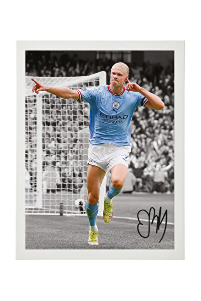 Boomah Accessories Erling Haaland Printed Autograph - Framed Poster 30x40cm -...