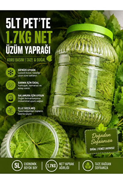 TANSU ŞAHAL 5 LT Pet Şişede Taze Asma Yaprağı 1.7 KG Net | Damarsız İnce Mayı...