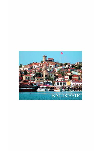 Gokco Buzdolabı Süsü Magnet Balıkesir