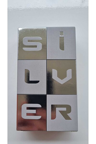 ERKEK PARFÜM SİLVER 100 ML EDT