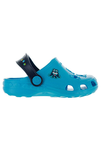 Coqui Little frog 20-21