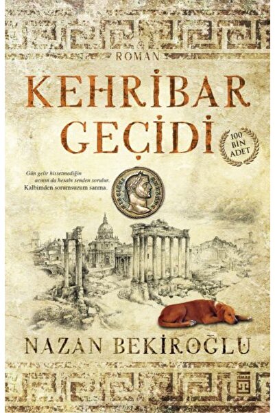 Timaş Yayınları Kehribar Geçidi
