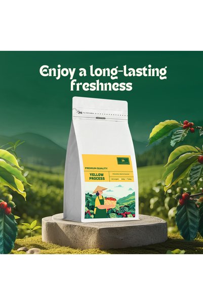 The Caphe Vietnam Robusta Coffee – Yellow Process (Single Origin, Ground) 500g | Medium Roast, Bold & Full-Bodied, Freshly Roasted in Dubai