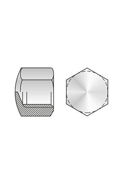 SCHAEFER Piulita Hexagonala Infundata DIN 917 Inox A2-M20