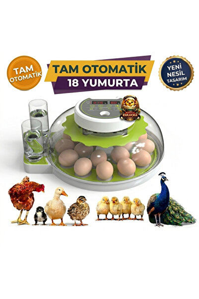 Aslan (WZ-Ea18 Incubator)-18 YUMURTA KAPASİTELİ TAM OTOMATİK KULUÇKA MAKİNESİ