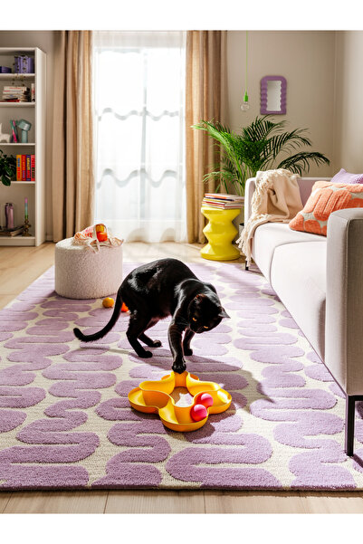 nomi pet Kedi Oyuncağı Toplu Özel Şekilli Zeka Geliştirme Oyuncağı