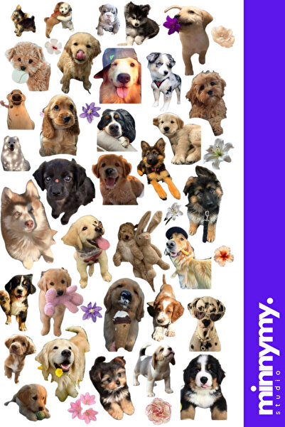 Minnymy Funny Dog Collection Sticker, Çıkartma, Ajanda, Günlük, Planlayıcı, B...