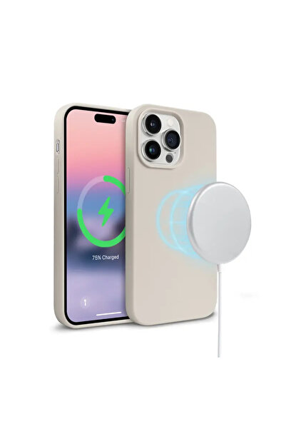 Crong Husă Magnetică Colorată - Etui iPhone 14 Pro Max MagSafe (piatră)