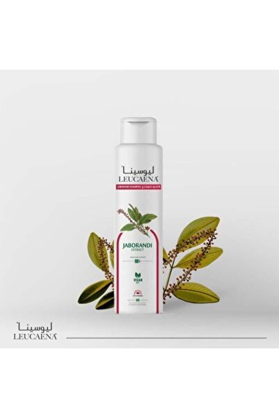 Leucaena JABORANDI Organic Shampoo— Hair Loss Treatment & Growth Stimulation,...