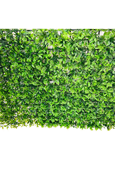 TodayShop Decorative Artificial Green Wall Panel 40x60cm - Premium Artificial...