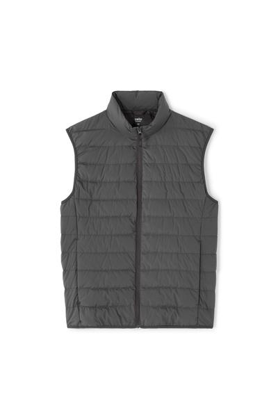 CELIO Vesta Mulightsl