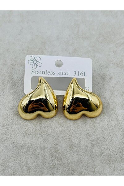 Bozhi Earrings Steel Daily Elegance Stylish Gift