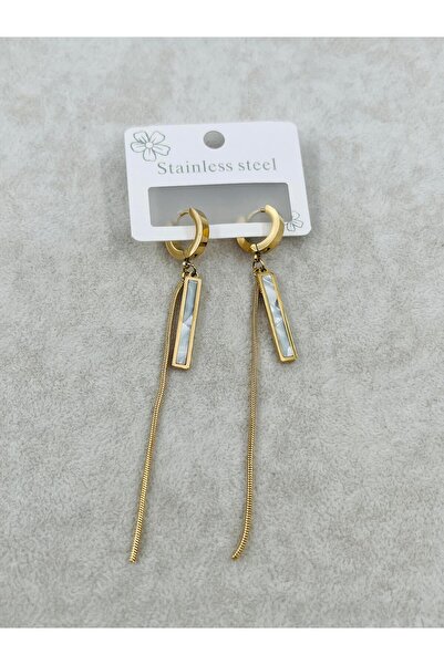 Bozhi Earrings Steel Business Woman Style