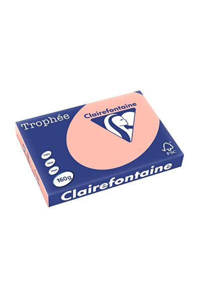 Clairefontaine А3 картон 160 гр/м² блед цвят 250 броя/кутия прасковен