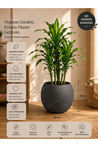 CANBOTANİK Binlerce Evde Tercih Edilen Modern Zamansız Dekoratif Saksı 30x40x...