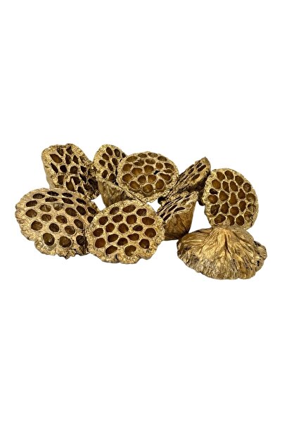 AFO Set 10 Flori de Lotus Mari 10cm Auriu