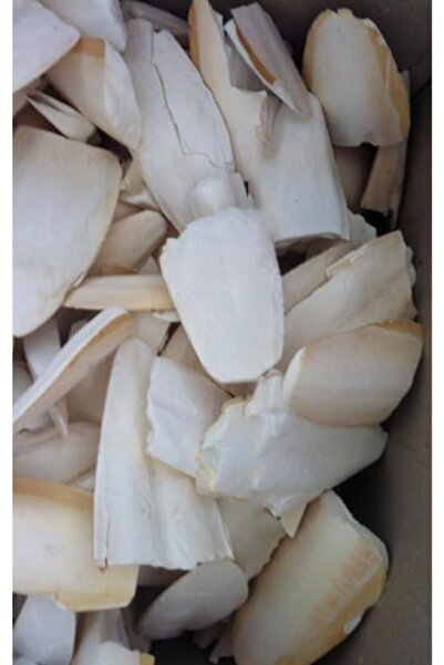 Yıldızan Terra Organik Small Size Squid Bones, 100 Grams Terra Organik 1025782