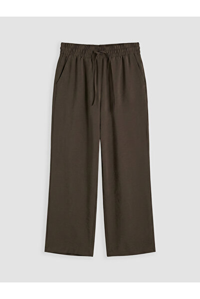 LC Waikiki Brown Elastic Waist Modal Blend Women's Trousers