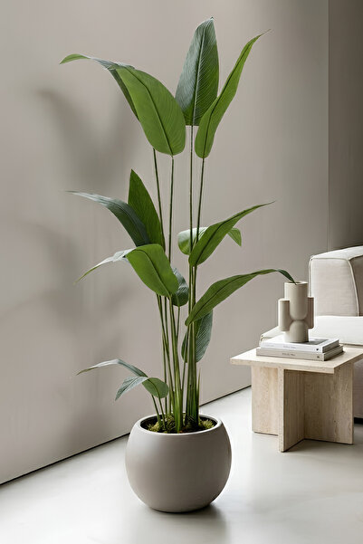 Armada Flora Dekoratif Büyük Yapraklı Yapay Starliçe Strelitzia Krem Minimali...