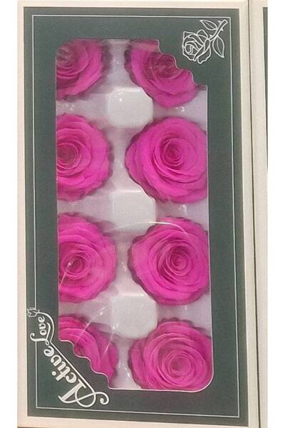 OEM Trandafiri criogenati, 8 bucati/cutie, diametru 5 cm Ciclam