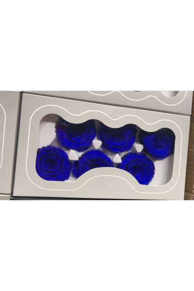 OEM Trandafiri criogenati, 6 bucati/cutie, diametru 6 cm Albastru