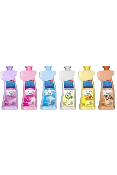 Loyal Concentrated Multi Purpose Household Floor Freshener 2100ml Pack Of 6