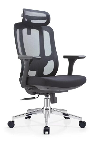 genernic Executive Office Chair with 3D Adjustable Armrests, Hydraulic Lift, ...