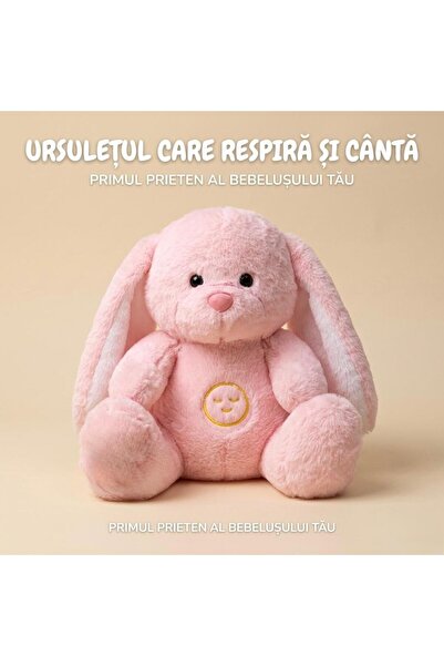 DCN The plush of dreams - the toy that falls asleep and sings from the first hug