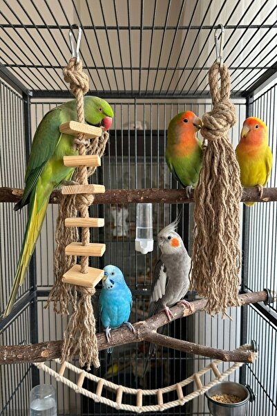 Mivra Pets Bird Toy Set Natural Jute and Wood - Parrot Toy, Budgie Toy, Cocka...