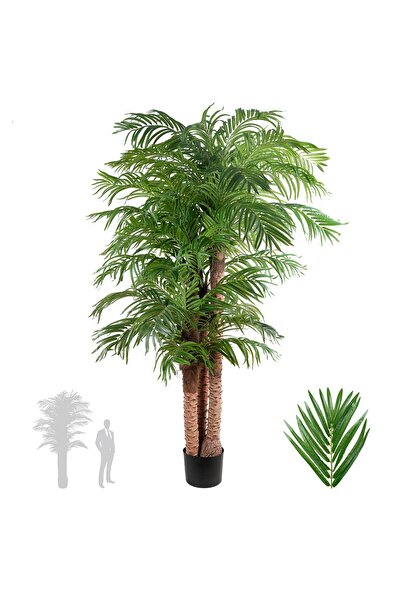 Roberto Rossi Palmier artificial H230cm Phoenix roebelenii