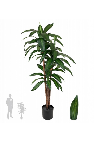 Roberto Rossi Dracaena artificiala Janet craig cu 54 frunze H120cm
