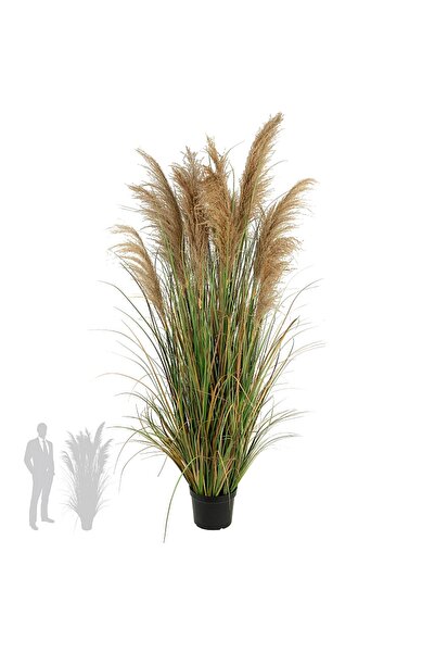 Roberto Rossi Iarba artificiala Onion 183 cm cu 13 flori naturale de pampas bej